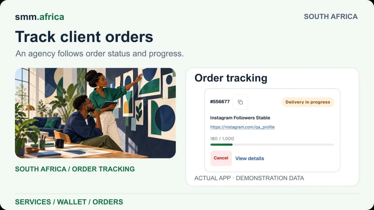 South Africa agency illustration paired with a SMM Africa order progress card using demonstration data.